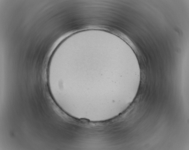 X0000113231148200910221034