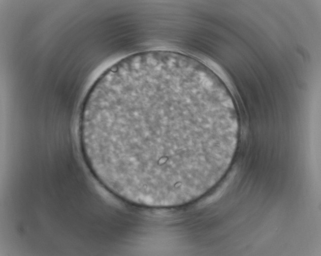 X0000113231149200910221034