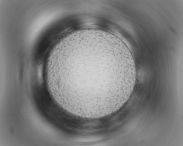 X0000113231150200910221034