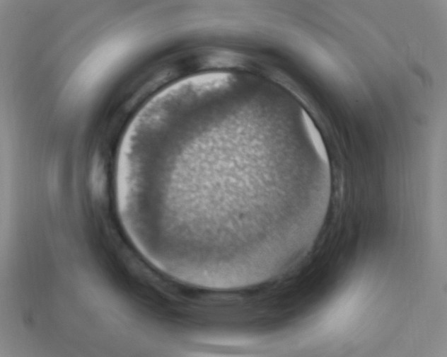 X0000113231151200910221034