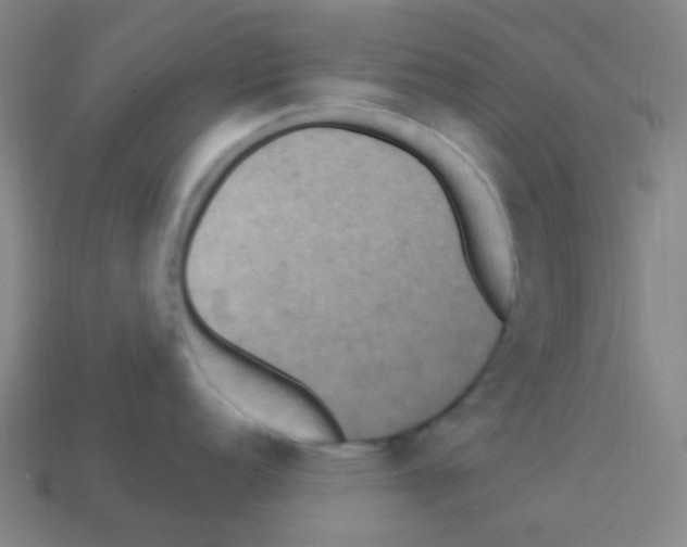 X0000113231152200910221034