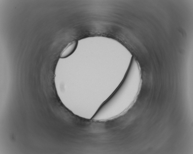 X0000113231153200910221033