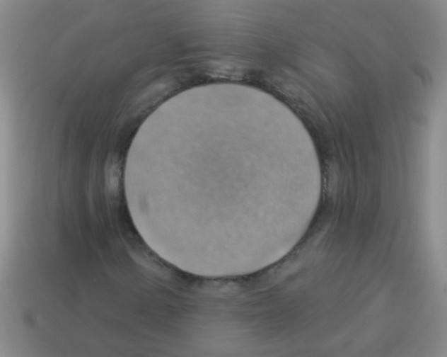 X0000113231154200910221033