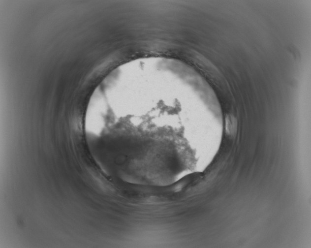 X0000113231155200910221033