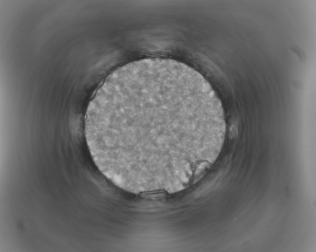 X0000113231156200910221033