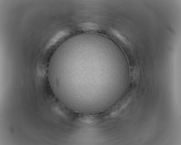 X0000113231157200910221033