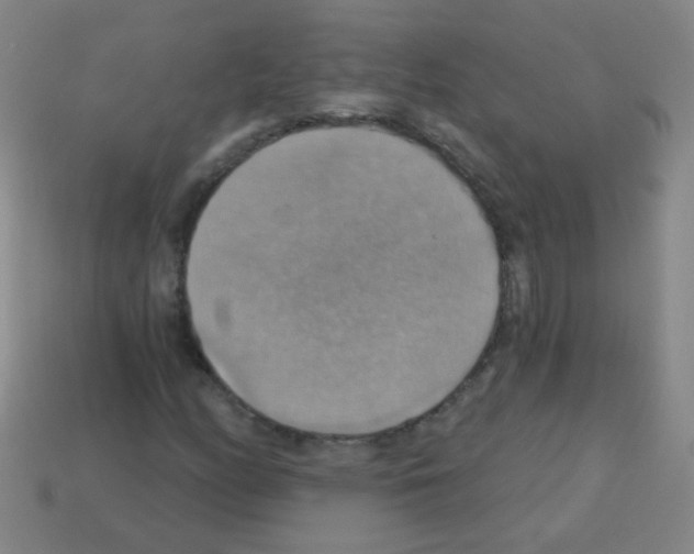 X0000113231158200910221033