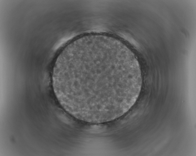 X0000113231160200910221033