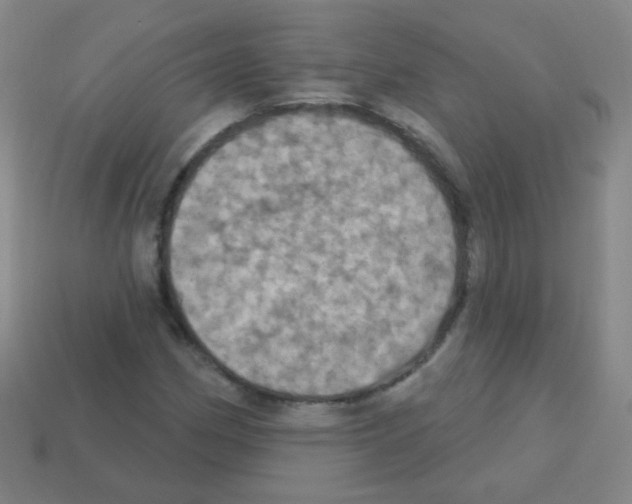 X0000113231162200910221033