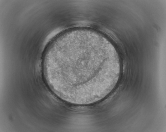 X0000113231164200910221033