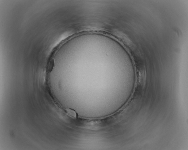 X0000113231165200910221033