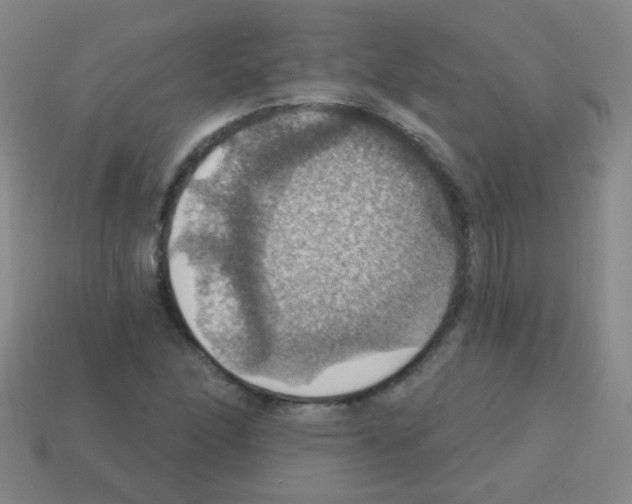 X0000113231166200910221033