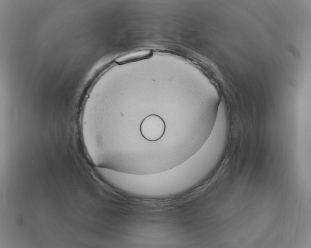 X0000113231168200910221033