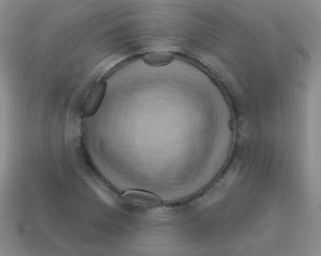 X0000113231169200910221033