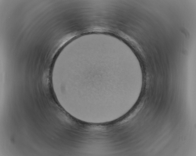 X0000113231170200910221033