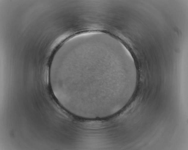 X0000113231171200910221033