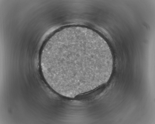 X0000113231172200910221033