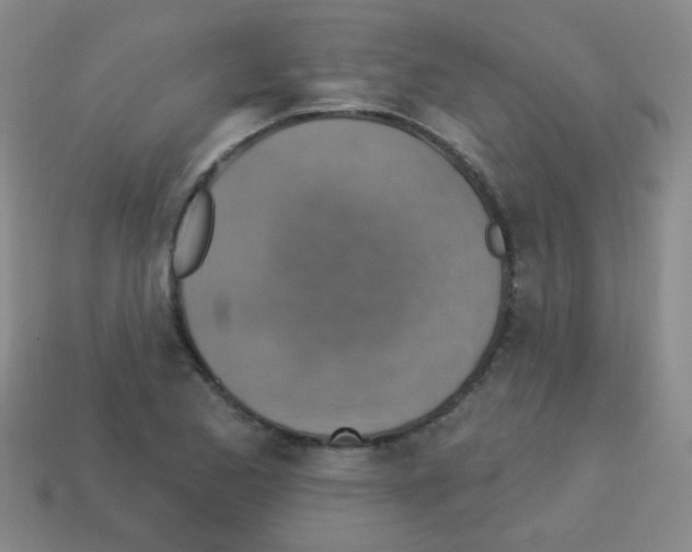 X0000113231173200910221033