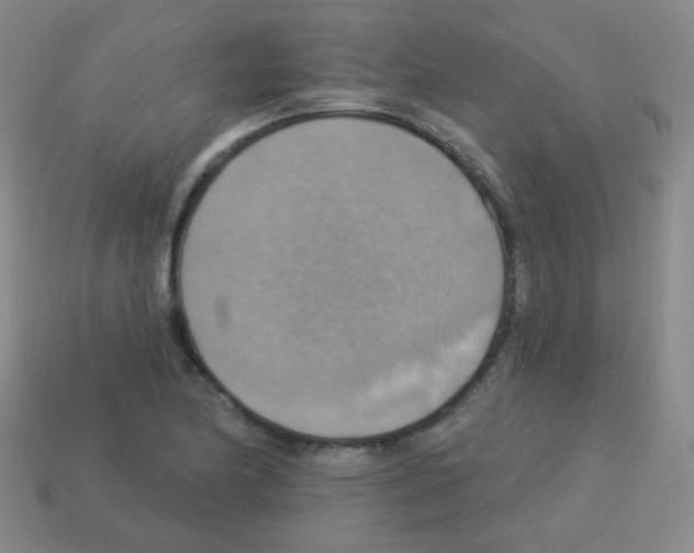 X0000113231174200910221033