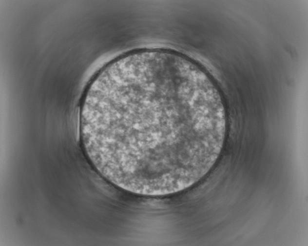 X0000113231175200910221033