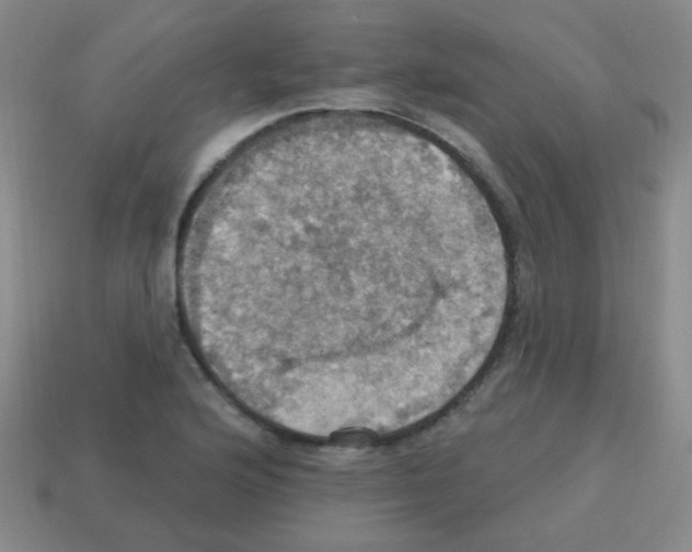 X0000113231176200910221033