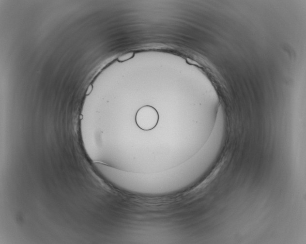 X0000113231177200910221033