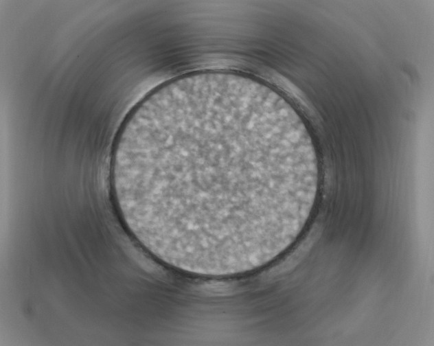 X0000113231178200910221033