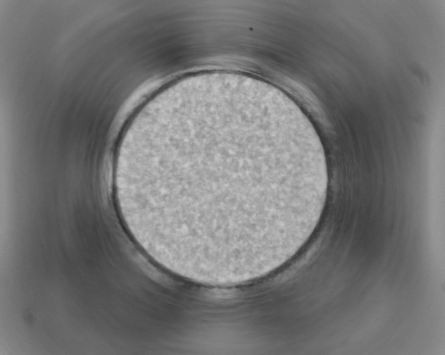 X0000113231180200910221033