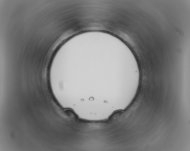 X0000113231181200910221033