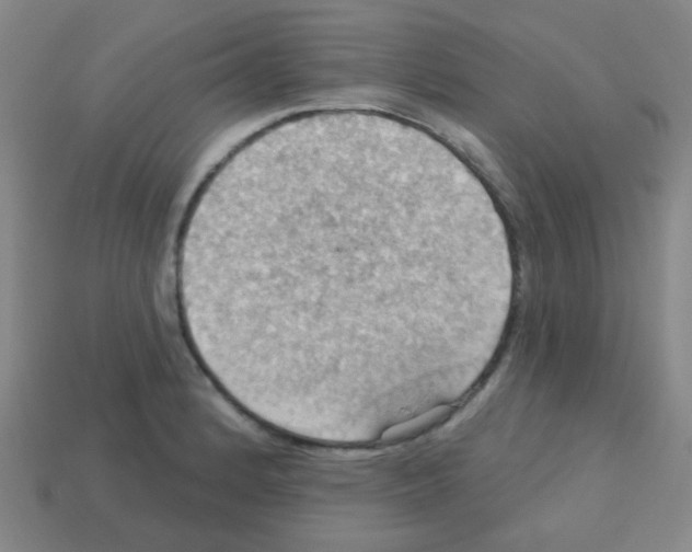 X0000113231184200910221033