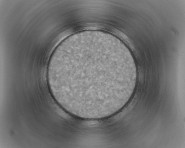 X0000113231186200910221033