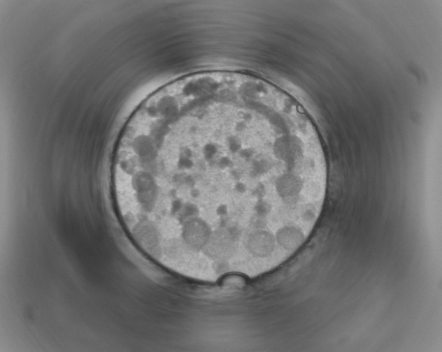 X0000113231187200910221033