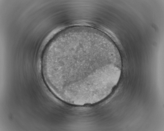 X0000113231188200910221033