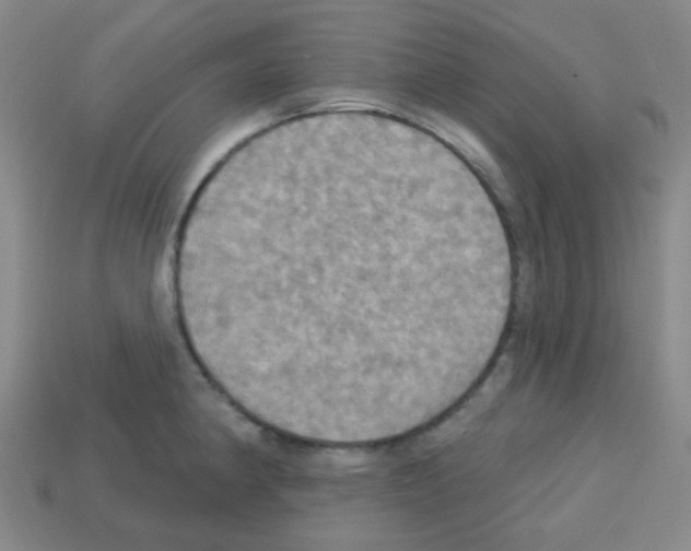 X0000113231190200910221033