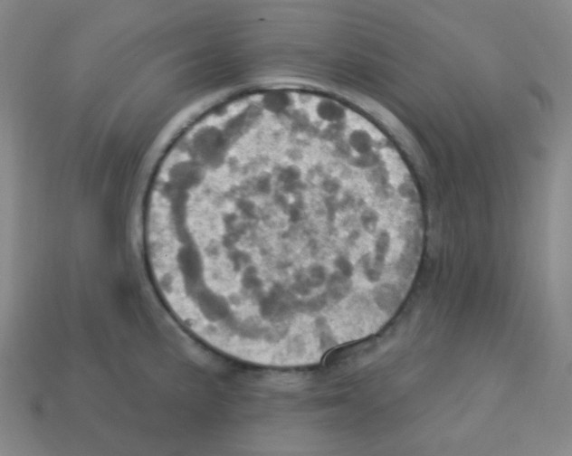 X0000113231191200910221033