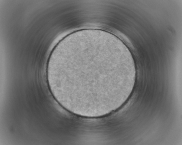 X0000113231192200910221033