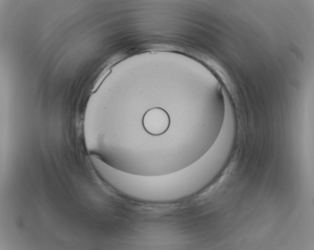 X0000113231193200910221033