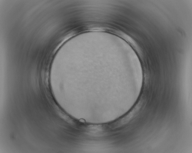 X0000113231194200910221033