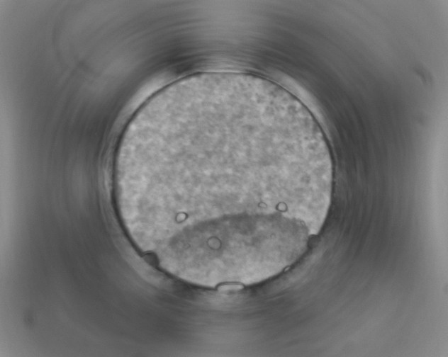 X0000113231195200910221033