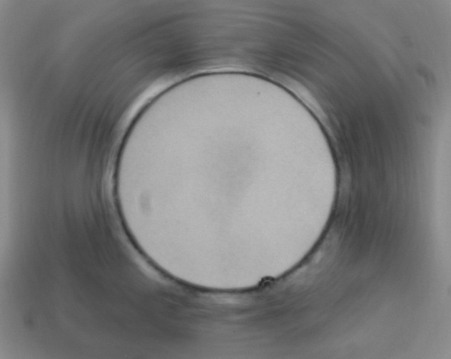 X0000113231197200910221033