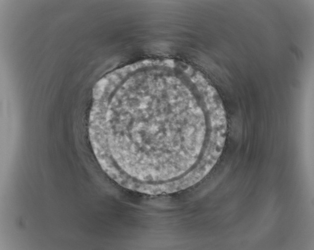 X0000113231201200910221032