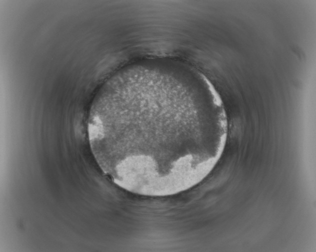 X0000113231202200910221032