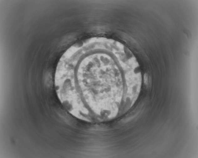 X0000113231203200910221032