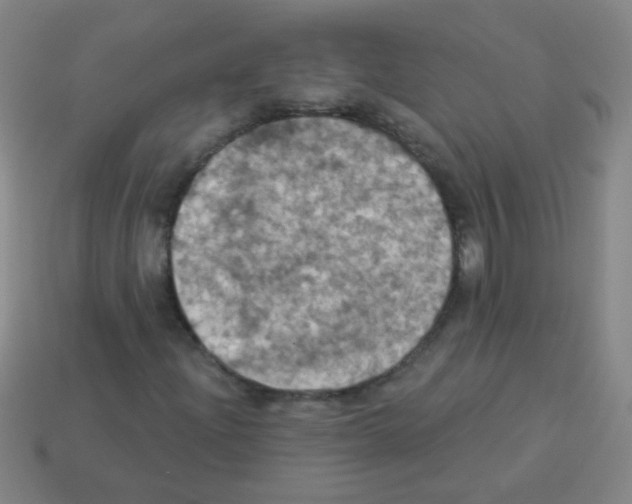 X0000113231204200910221032