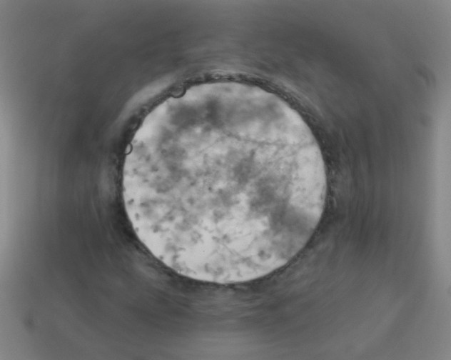 X0000113231207200910221032