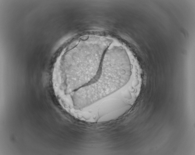 X0000113231208200910221032