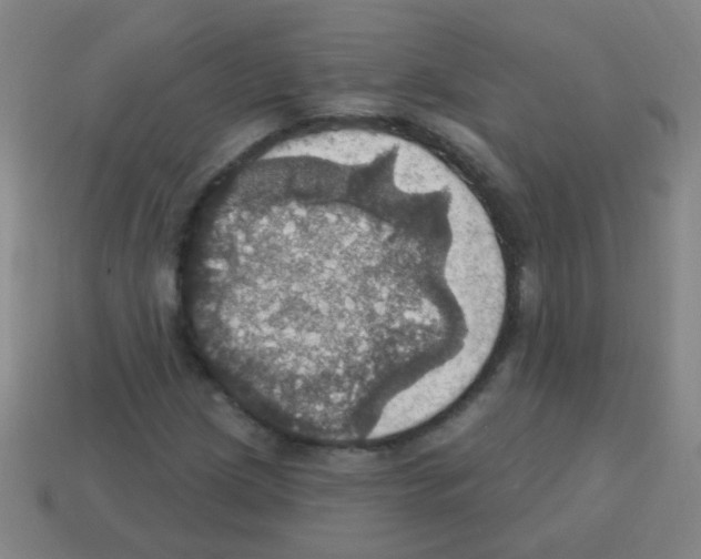 X0000113231209200910221032