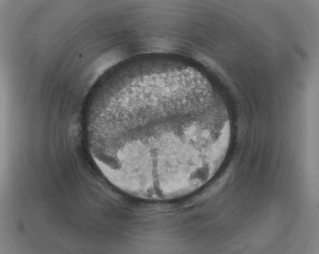 X0000113231210200910221032