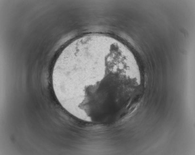 X0000113231213200910221032