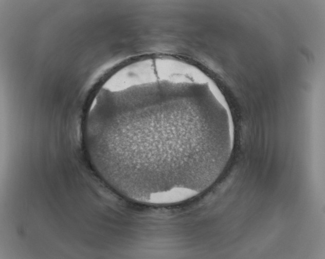 X0000113231214200910221032